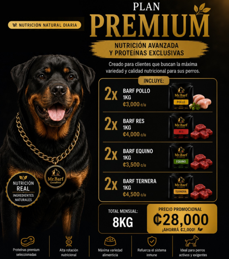 Paquete Premium 2P-2R-2EQ-2TER