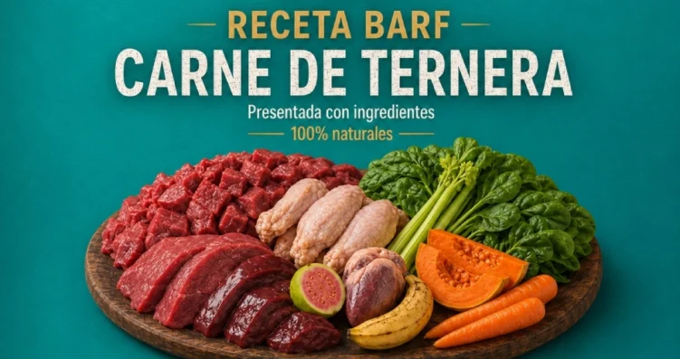 BARF TERNERA 1KG